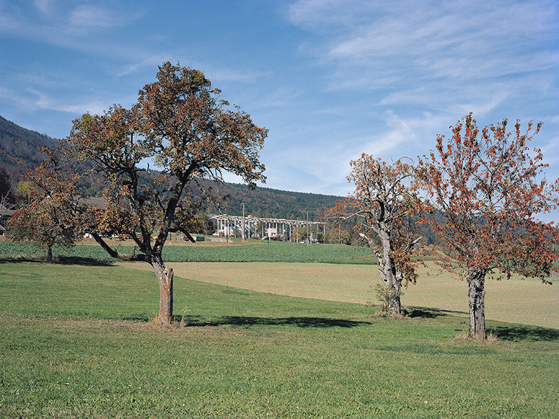 FONDATION JAN MICHALSKI