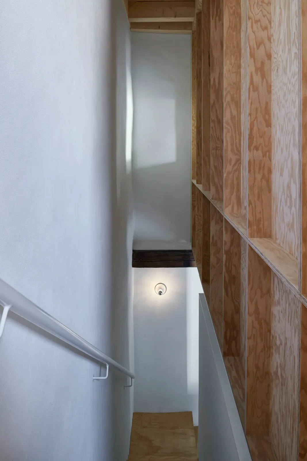 Daniela-Tonatiuh—t_REX_VERSCIO—0011--2024