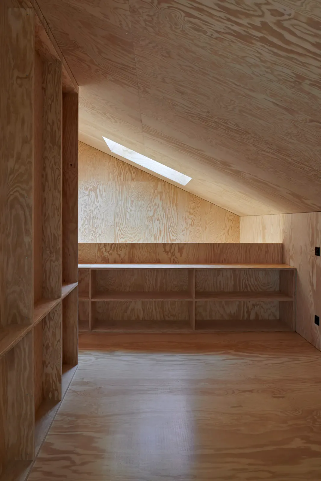 Daniela-Tonatiuh—t_REX_VERSCIO—005--2024