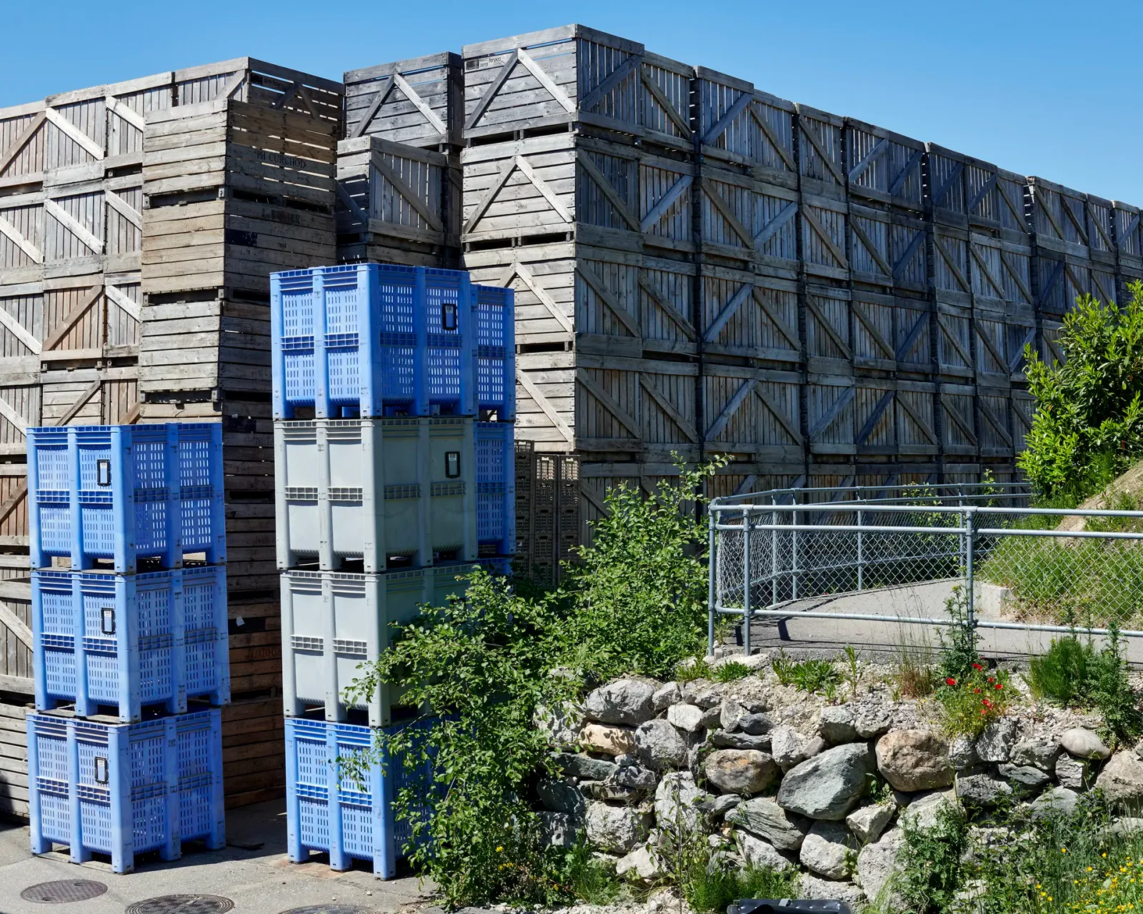 Daniela-Tonatiuh—BERCHER—011--2021