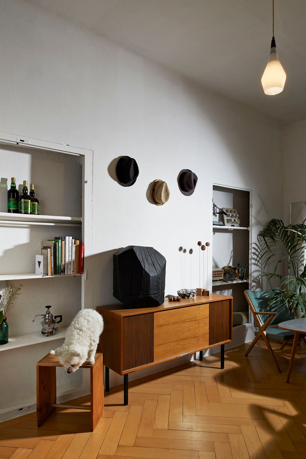 Daniela-Tonatiuh--FEDERICORELLA-005--2017