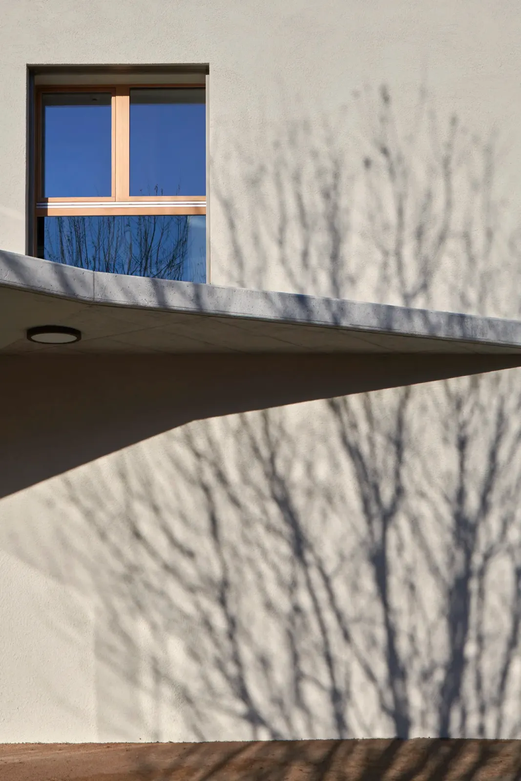 Daniela-Tonatiuh—OB_ECOGIA—003--2021