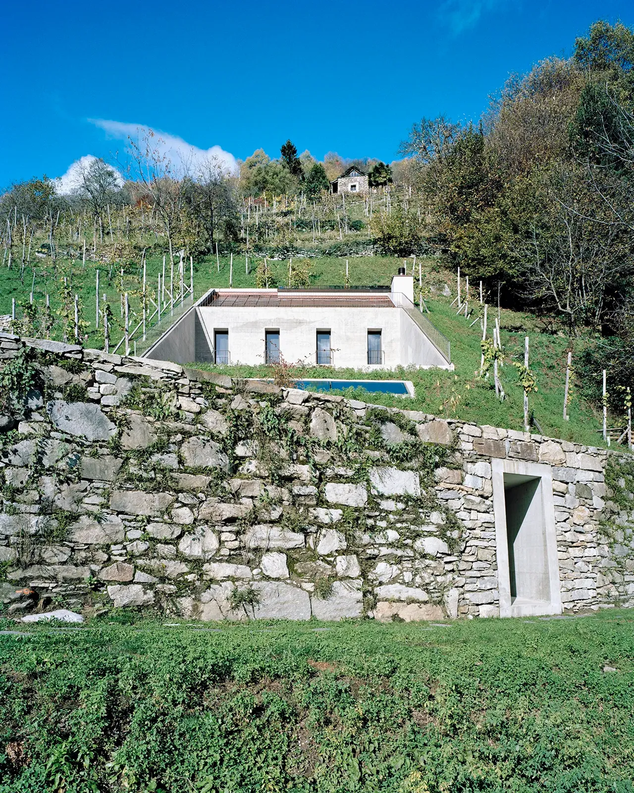 Daniela-Tonatiuh—casa_BULA—005--2015