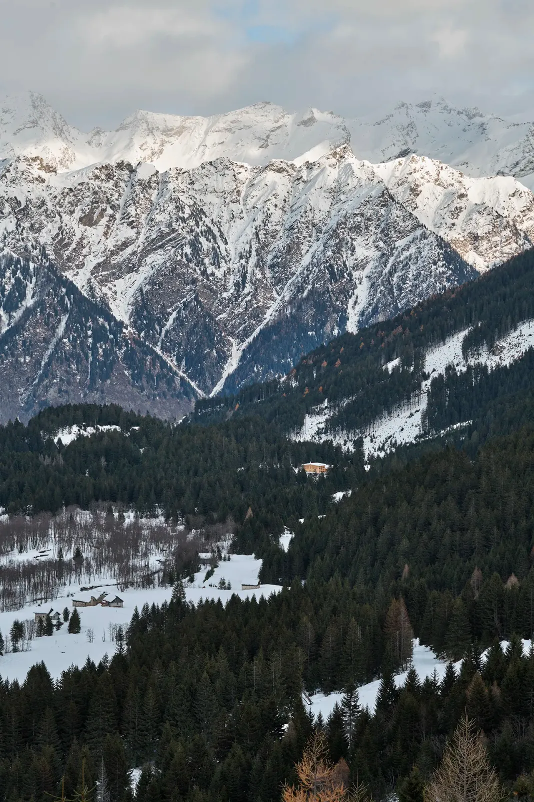 Daniela-Tonatiuh—CAMPRA—001--2019