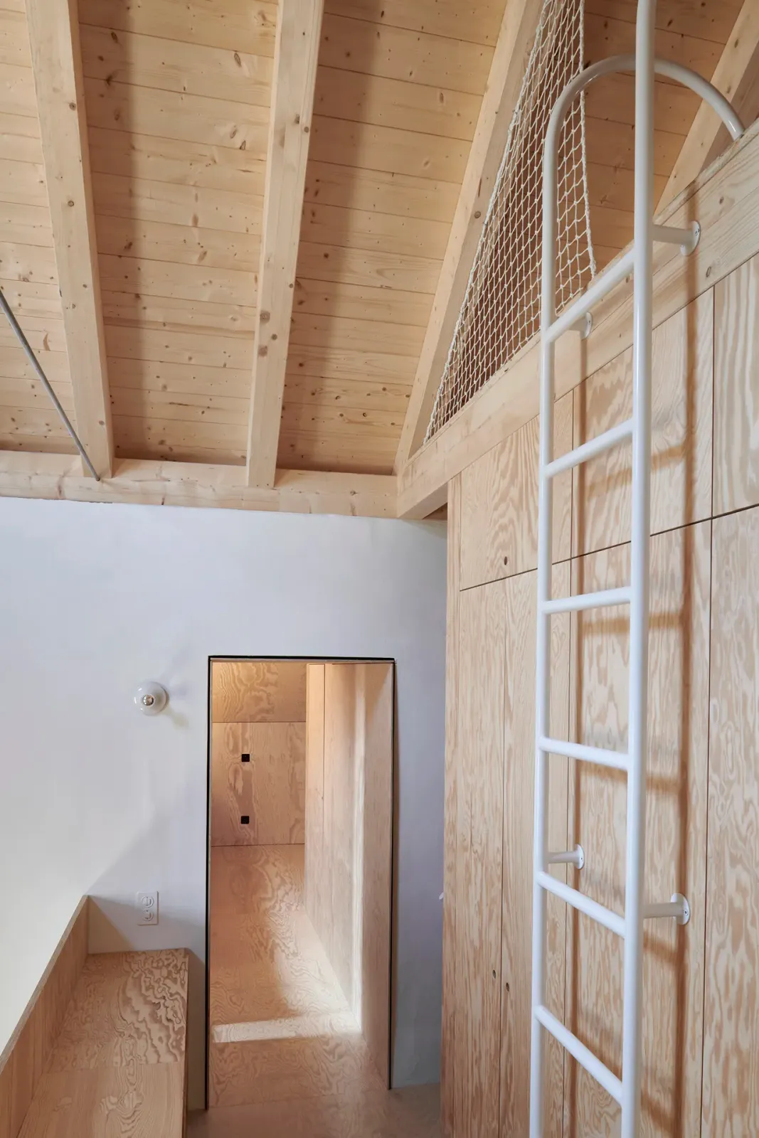 Daniela-Tonatiuh—t_REX_VERSCIO—006--2024