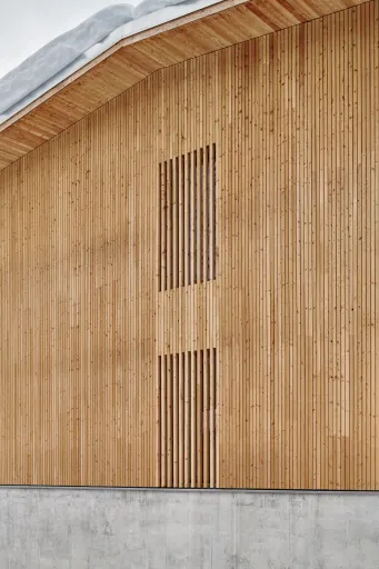 Daniela-Tonatiuh—CAMPRA—002--2019