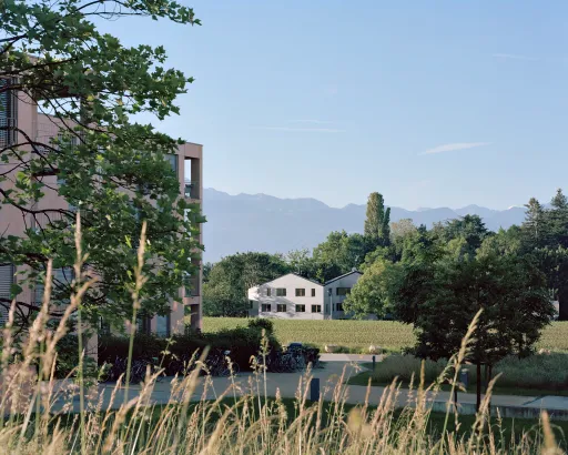 Daniela-Tonatiuh—LCA—003--2016