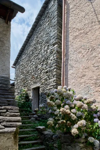 Daniela-Tonatiuh—t_REX_VERSCIO—003--2024