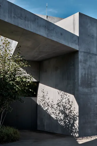 Daniela-Tonatiuh—CORPUS_FEL—004--2022